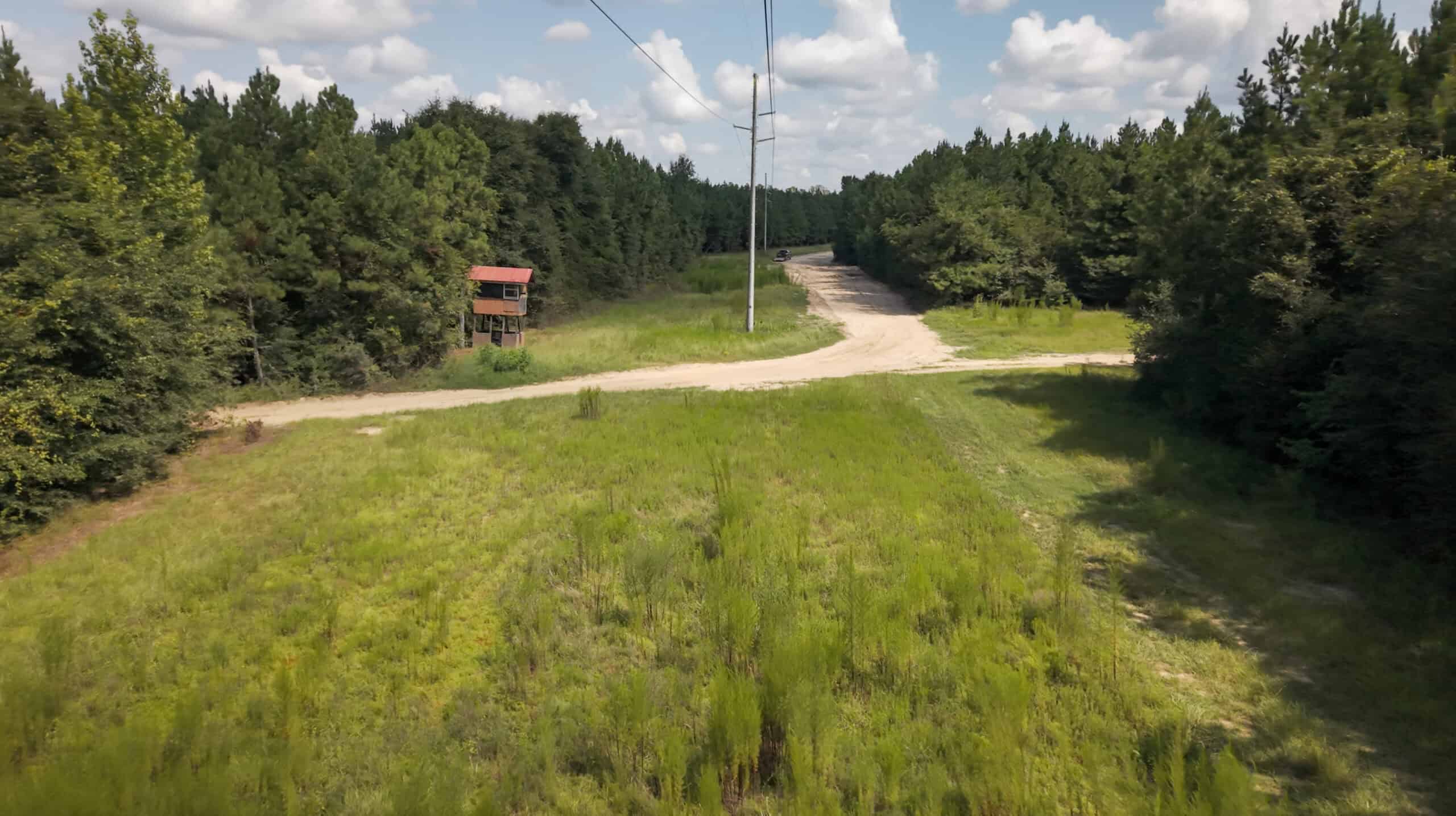 224.56 Acres | Buck Creek 224 | Montezuma, GA